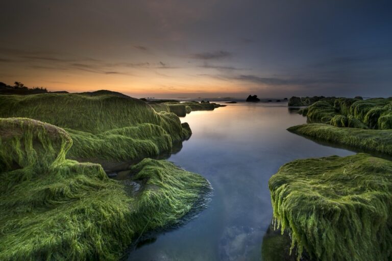 7 Alternative Beach Destinations for Solitude That Locals Keep Secret