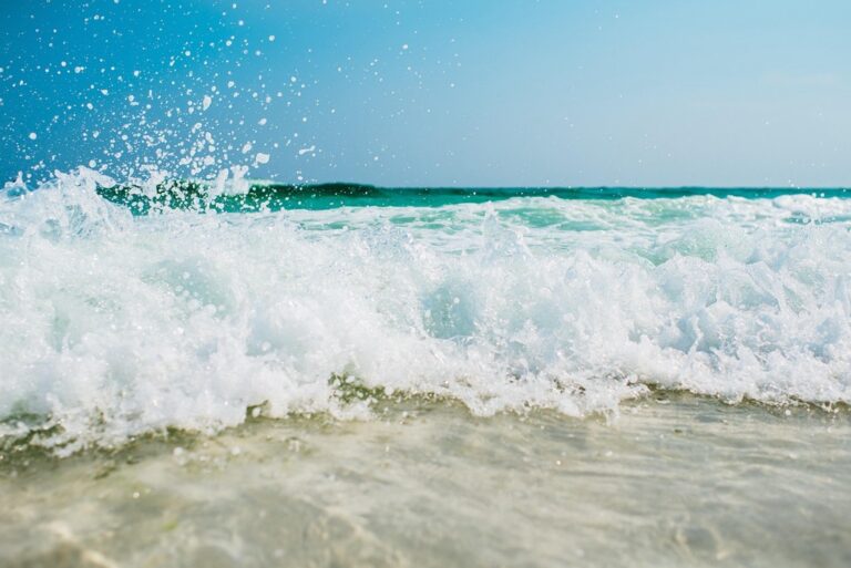 5 Differences: High Tide vs Low Tide for Swimming That Keep You Safe