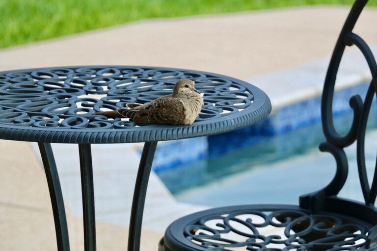 7 Benefits of Poolside Outdoor Kitchens That Every Parent Should Know