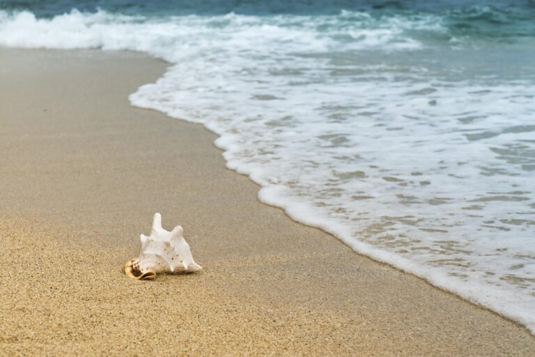 6 Ideas for Balancing Beach Time with Sightseeing That Locals Swear By