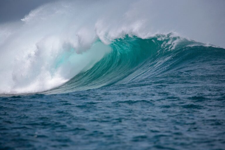 7 Techniques for Swimming in Choppy Waters That Pro Athletes Swear By