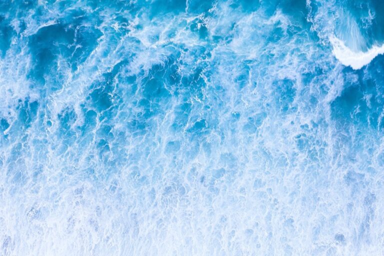 7 Ways How to Predict Tides for Local Marine Festivals Safely