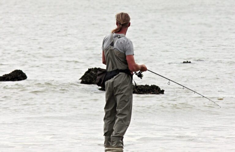 7 Key Differences: Freshwater vs Saltwater Fishing That Pros Know