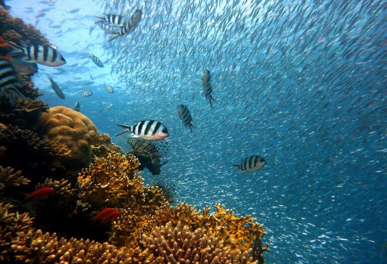 7 Factors Affecting Water Temperature in Natural Bodies Every Angler Should Know