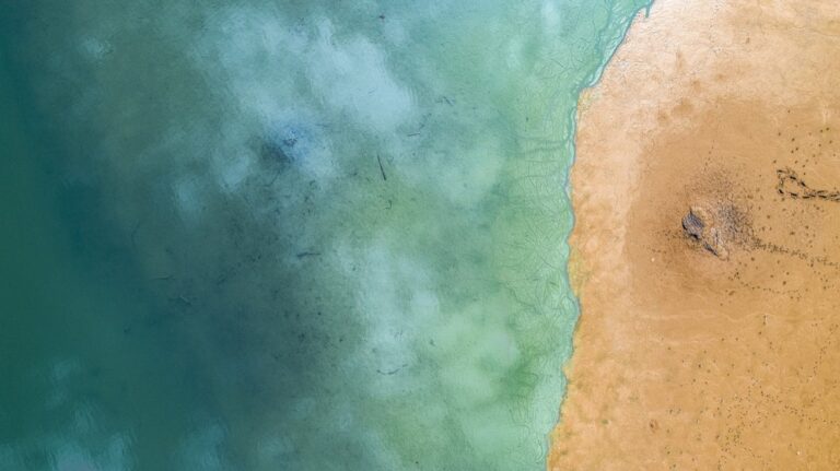7 Innovative Drone Uses for Water Recreation That Boost Safety