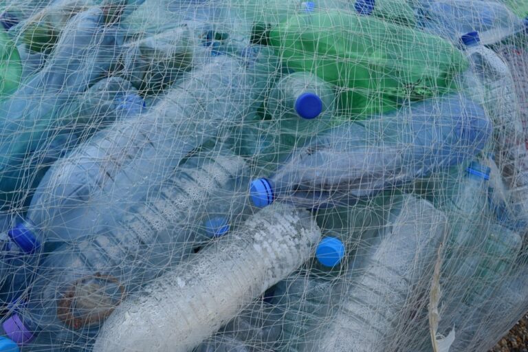 7 Best DIY Beach Cleanup Kit Items That Protect Our Waters