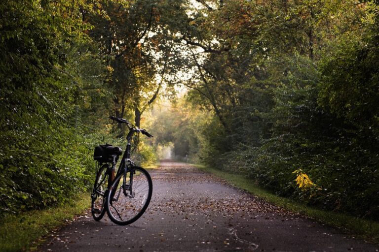 7 Beach Bike Rental Tips for Coastal Exploration That Locals Keep Secret