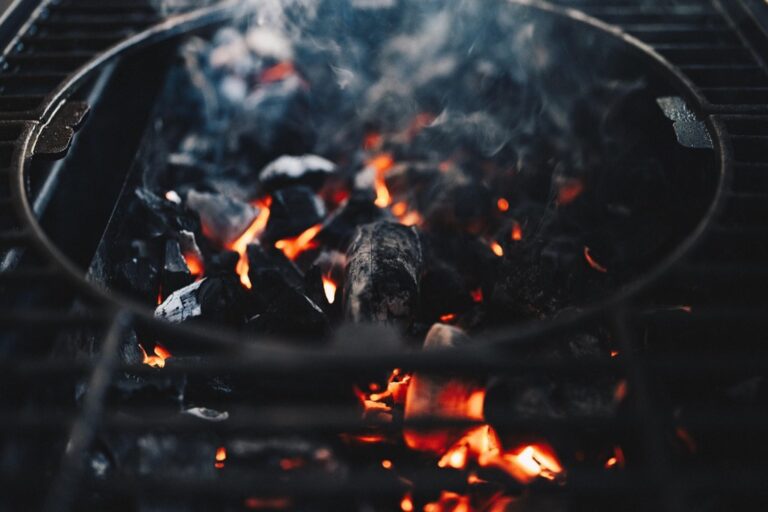 7 Ideas for Making the Most of a Beach BBQ Experience That Pros Use