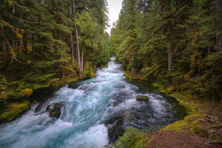 7 Best Natural Waterways for Kayaking That Locals Keep Secret