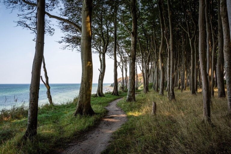 7 Scenic Beach Hikes to Explore That Locals Keep Secret