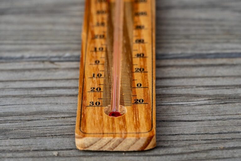 5 Best Water Thermometers for Evaluating Accuracy That Pros Trust
