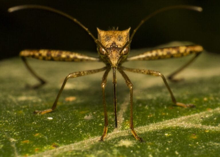 7 Best Insect Repellent Options for Beachgoers That Actually Work