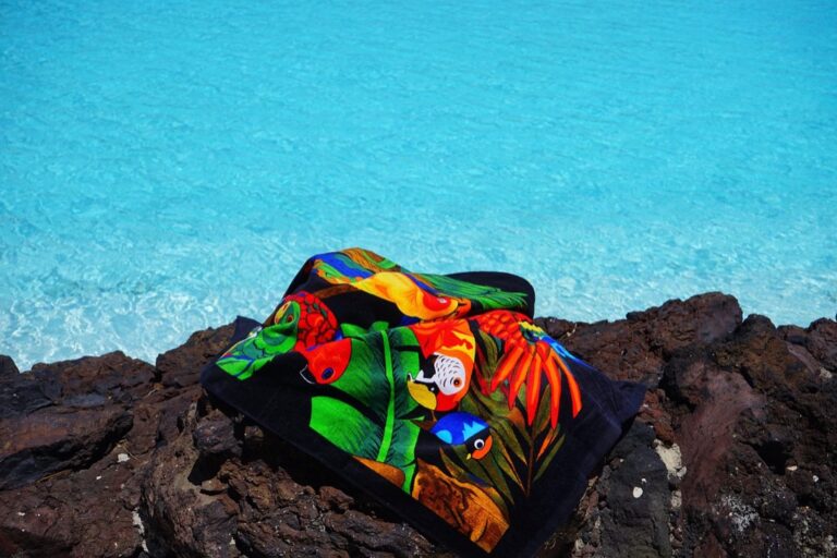 7 Innovative Towel Storage Ideas for Swimmers That Pro Athletes Use