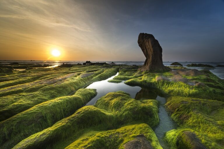 5 Factors Affecting the Relationship Between Rainfall and Algae Growth That Protect Our Waters