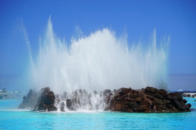 8 Ways How to Create a Backyard Water Oasis That Boost Property Value