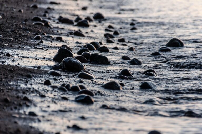 7 Best Tide Pools for Exploration That Locals Keep Secret