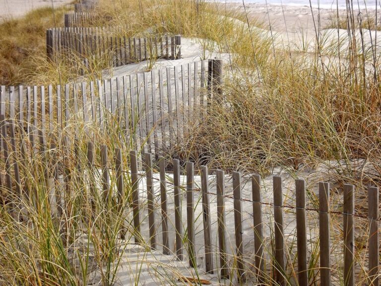 6 Creative Ideas to Store Beach Equipment When It’s Windy That Locals Swear By