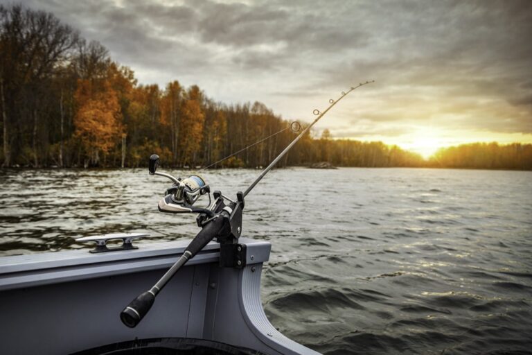 7 Multi-Species Fishing Strategies for Success That Work in Any Conditions