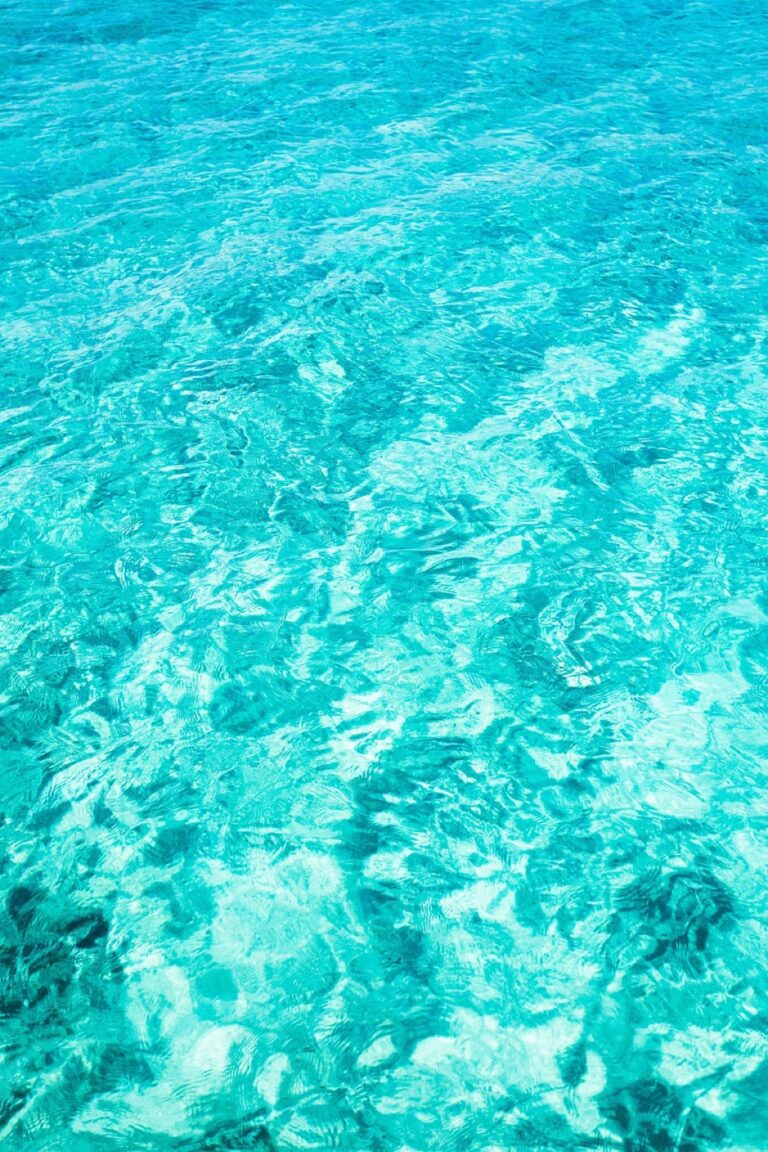 5 Best Plants to Filter Pool Water Naturally That Protect Our Waters