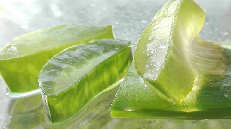 5 Best DIY Lotions for Sunburn Soothing That Every Parent Should Know