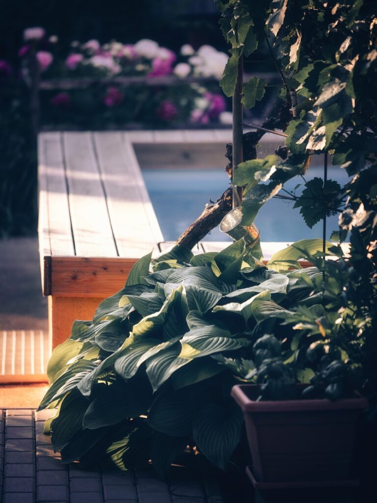 7 Steps: Preparing Your Hot Tub for a Long Absence That Prevent Costly Damage