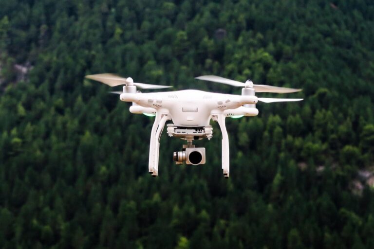 7 Tips for Using Drones in Freshwater Lakes That Protect Wildlife