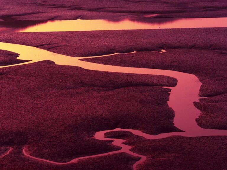 7 Ways How to prepare for changing tide conditions That Save Lives