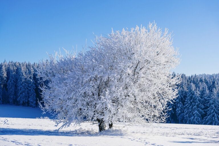 7 Top Considerations for Winter Beach Activities That Keep You Safe