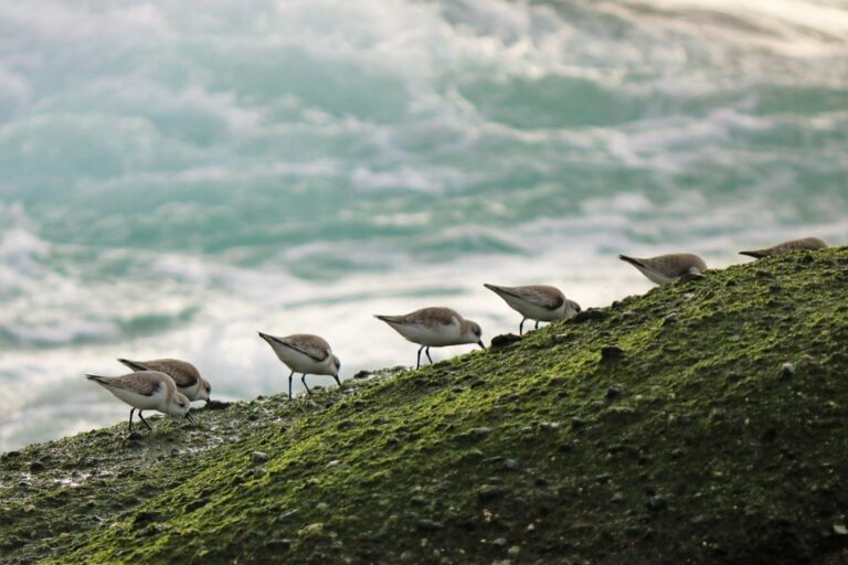 7 Tips for Beach Photography with Family That Capture Magic