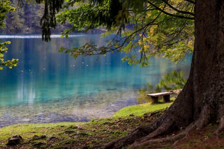7 Peaceful Lakes for Swimming Laps Near Me Locals Keep Secret