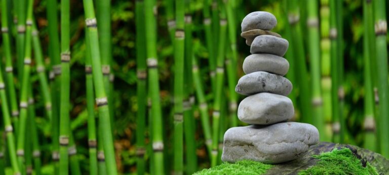 7 Ideas for Creating a Zen Garden Around Your Pool That Transform Any Backyard