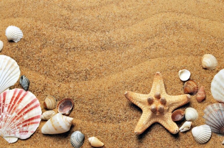 7 Creative Ideas to Document Beach Memories That Last Forever