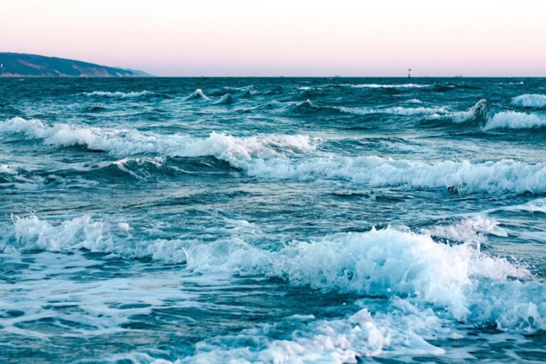 7 Unique Ways to Connect With Nature at the Beach That Locals Keep Secret