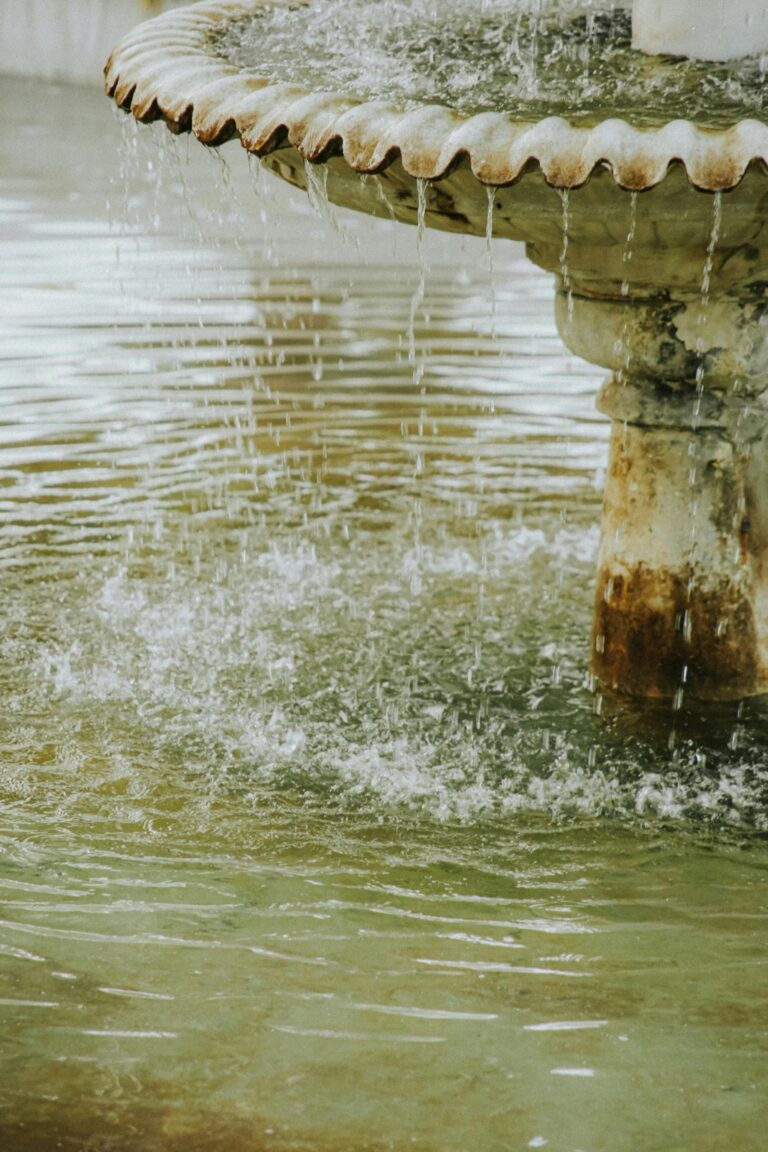 7 Innovative Water Feature Ideas for Pools That Boost Property Value