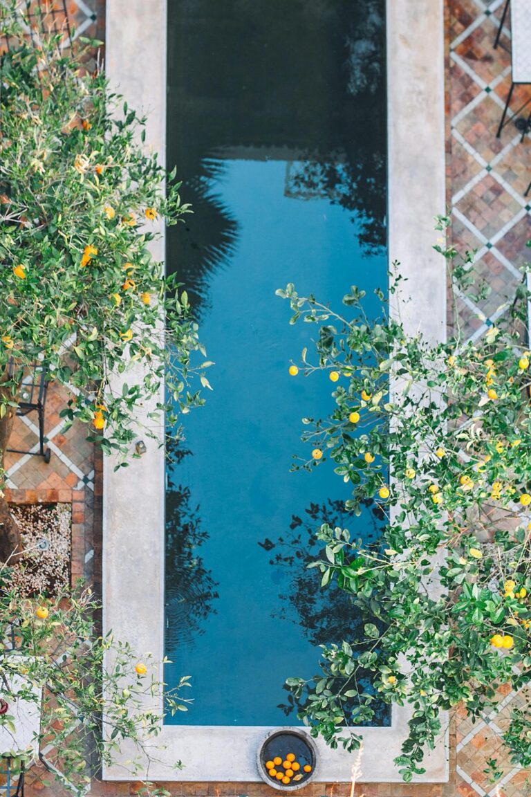 7 Creative Pool Landscaping Ideas That Transform Any Backyard