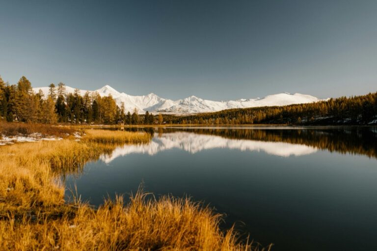 7 Best Open Water Swim Venues to Explore That Locals Keep Secret