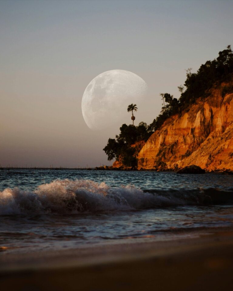 8 How to Host a Perfect Beach Movie Night Tips That Create Magic